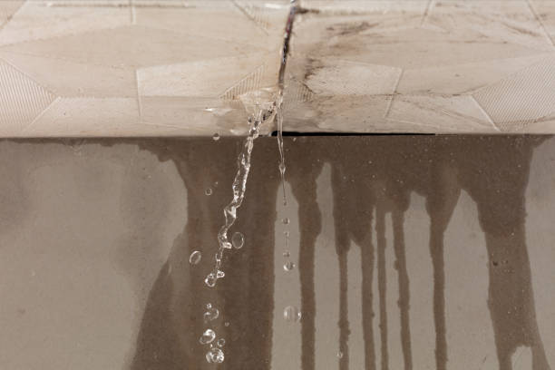 Professional Sewage Cleanup technician working in Erie, IL